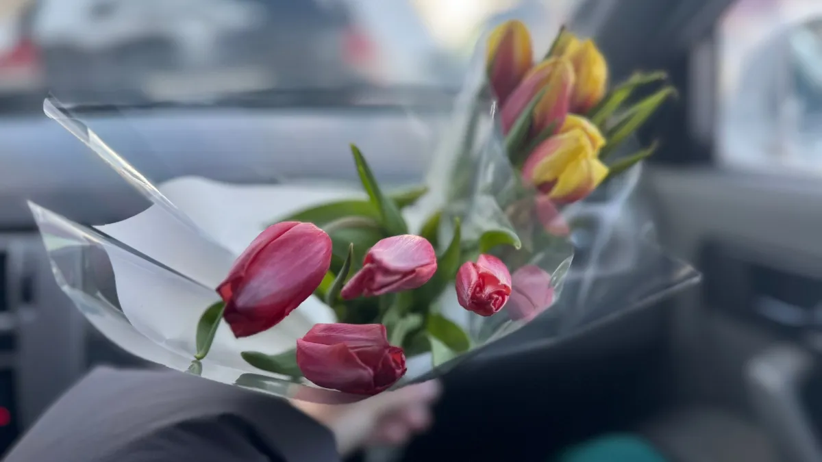 Тюльпаны стоят в вазе больше 2 недель: 4 несложных правила ухода — и букет радует шикарным видом