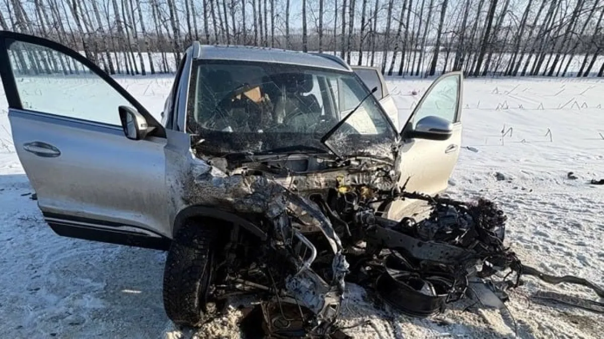 На трассе Тамбов — Пенза произошло лобовое столкновение Chery и JAC