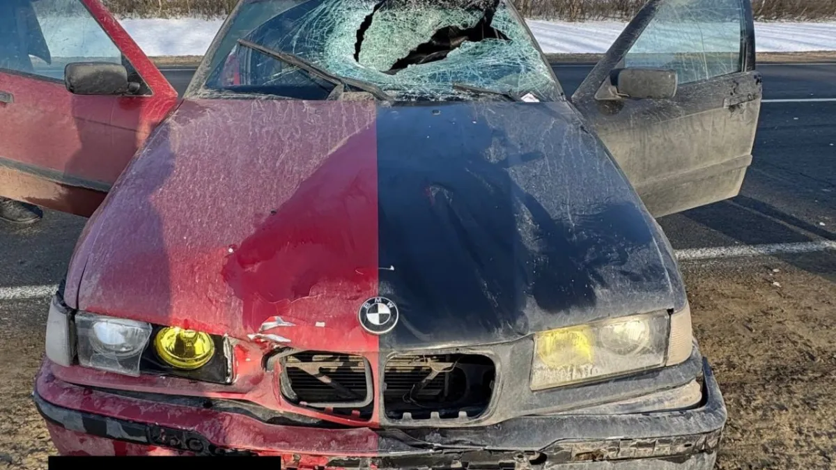 На трассе Воронеж — Тамбов в Мордовском округе водитель BMW насмерть сбил мужчину