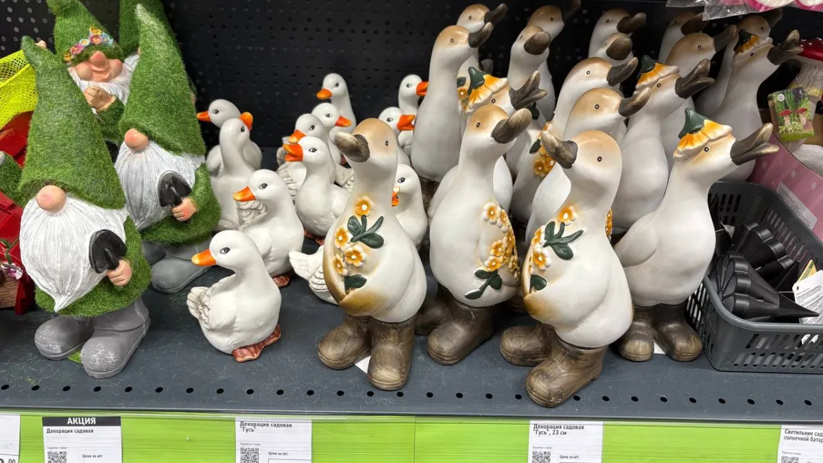 Забежала в "Фикс Прайс" и ахнула - оказалась в дачном раю: показываю товары, которые пригодятся каждому огороднику 