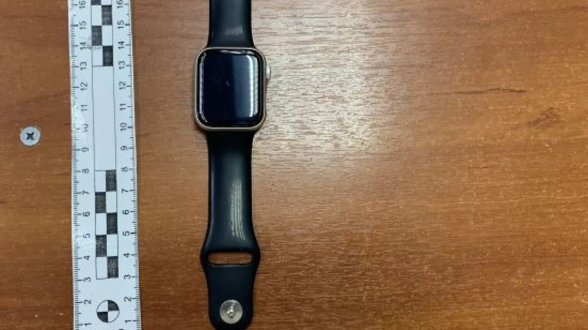 Жительницу Мичуринска обокрали в поезде Москва – Тамбов