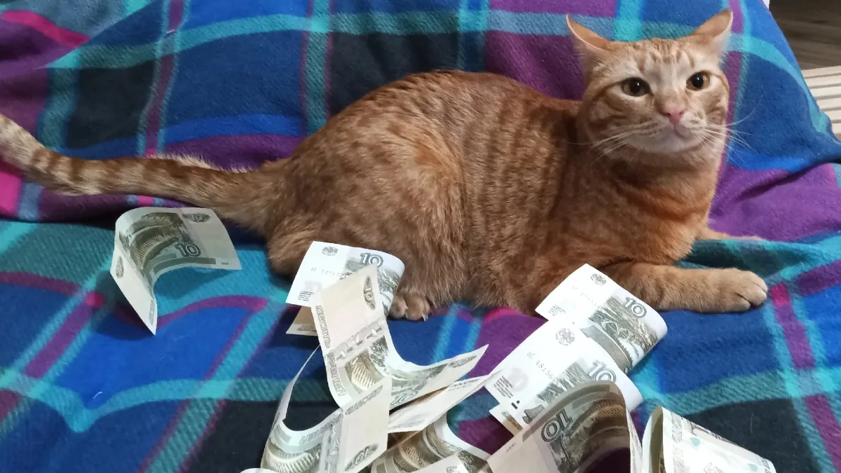 Как правильно хранить мелкие деньги в доме, чтобы привлечь богатство