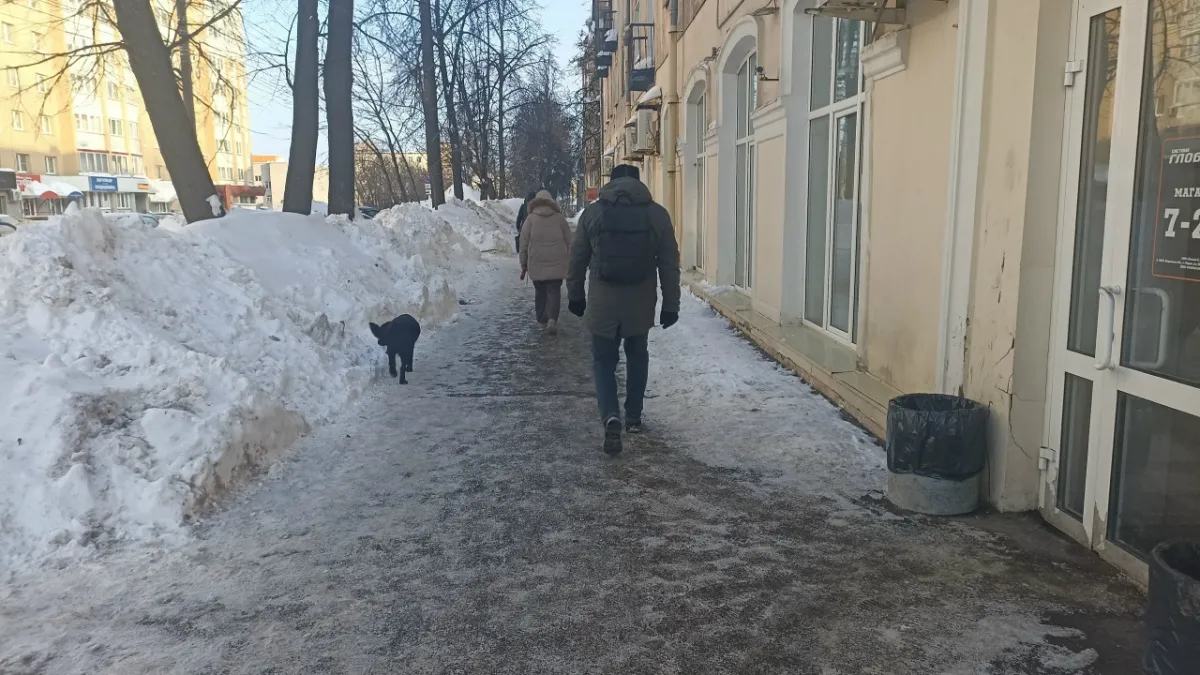 В Тамбове оштрафовали владельца агрессивной овчарки