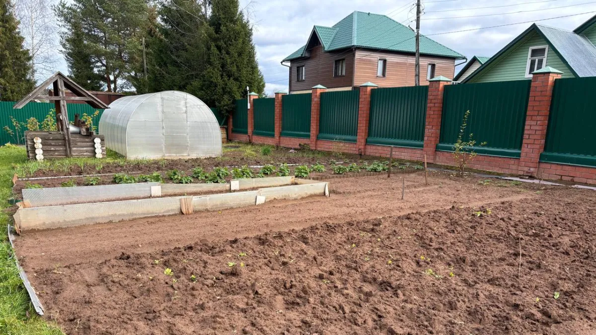 Дачников напугали налогом на теплицы в 2026: кому на самом деле придется платить, а кому не стоит переживать