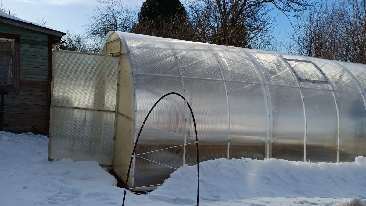 Как правильно подготовить весной теплицу к посадкам - пошаговая инструкция