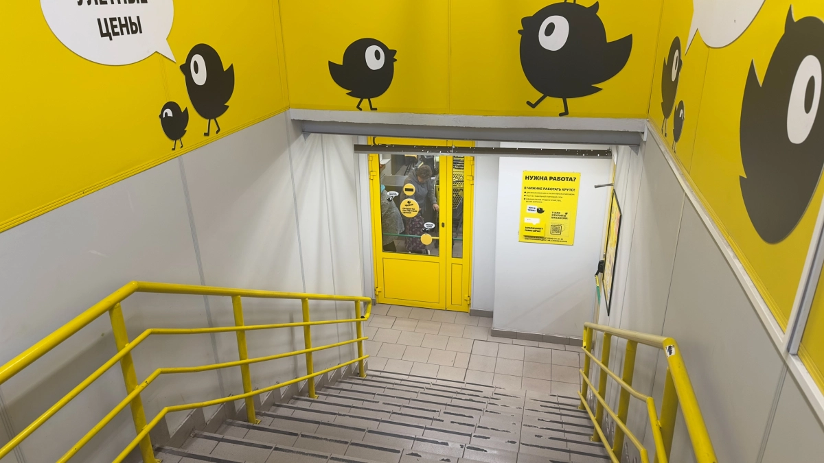 Ради каких продуктов я специально хожу в "Чижик": скрытые сокровища, которые точно стоит брать