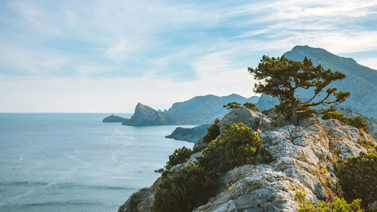 Глава Тамбовской области отметил значение Крымской весны и сотрудничества с полуостровом