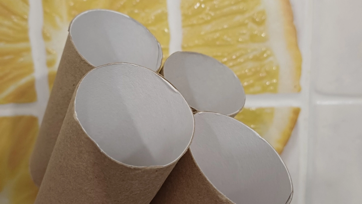 Берегу втулки от туалетной бумаги как зеницу ока: помогают легко решить 3 проблемы 