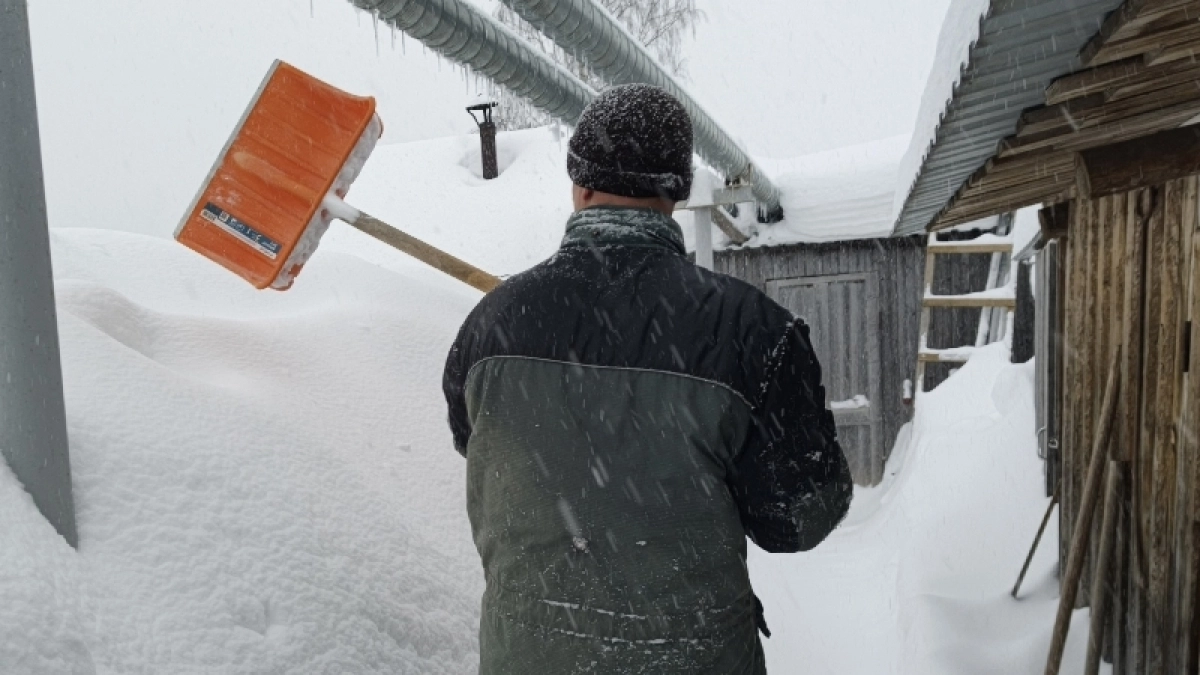 Сделайте так в марте - и снег на дачном участке растает в 2 раза быстрее