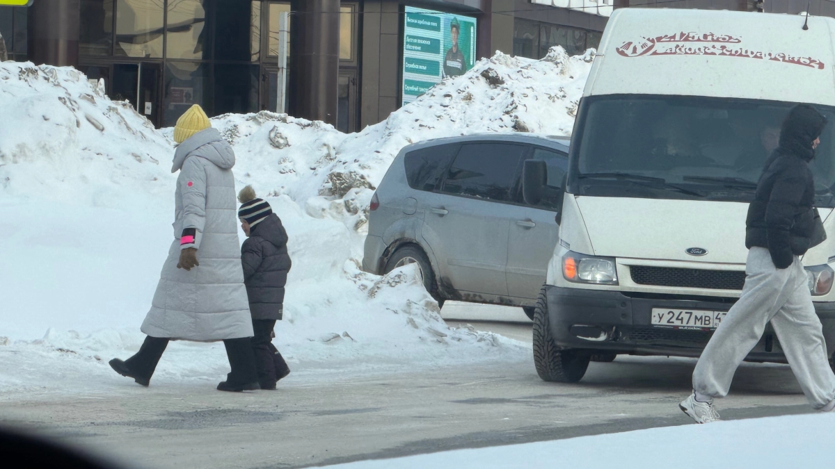 Верховный Суд дал окончательный ответ: должен ли водитель ждать, пока пешеход полностью перейдет дорогу