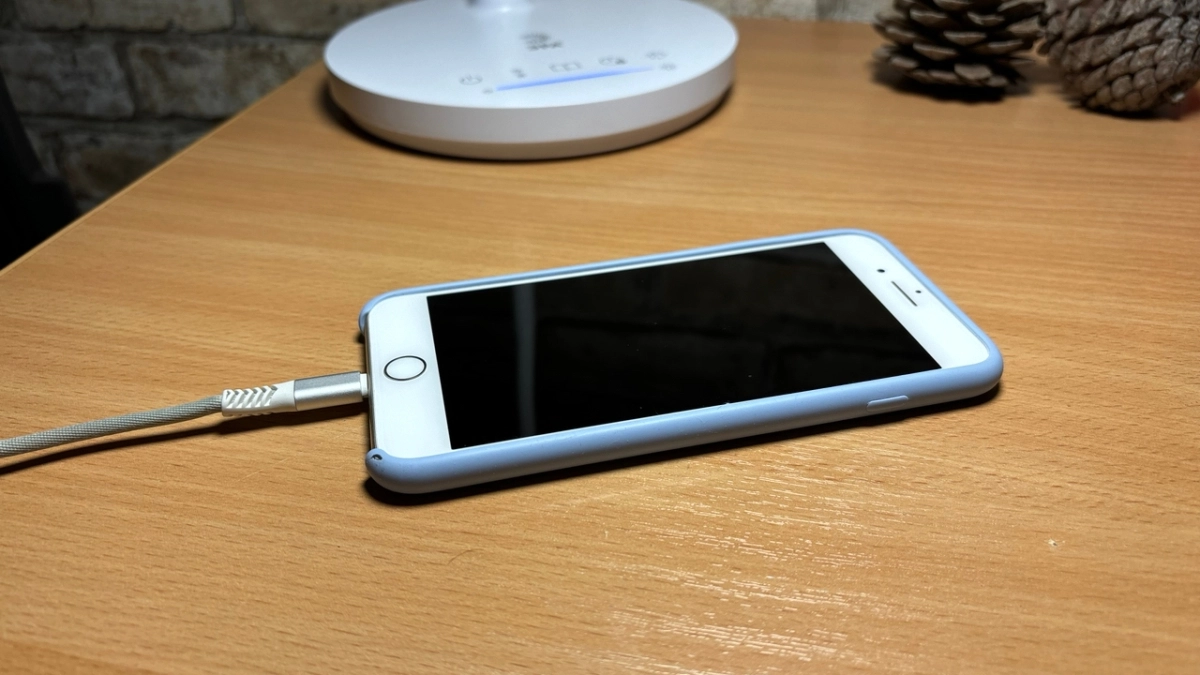 Портится ли батарея смартфона, если держать его на зарядке всю ночь: запомните и расскажите близким