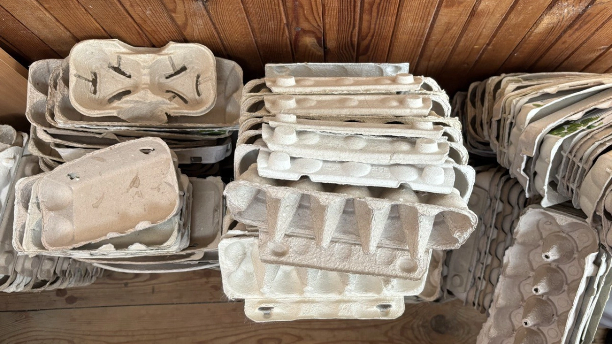 Не выбрасывайте лотки из-под яиц: незаменимые помощники для сада и огорода - 3 способа применения