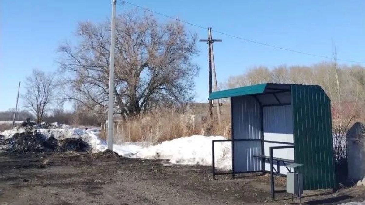 В Васильевке Токарёвского округа обустроили остановку и провели освещение по просьбе жителей