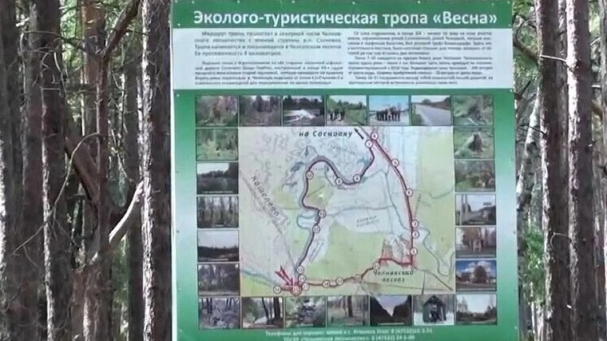 В Тамбовской области обновили экотропу "Весна": маршрут протянулся на 8 километров