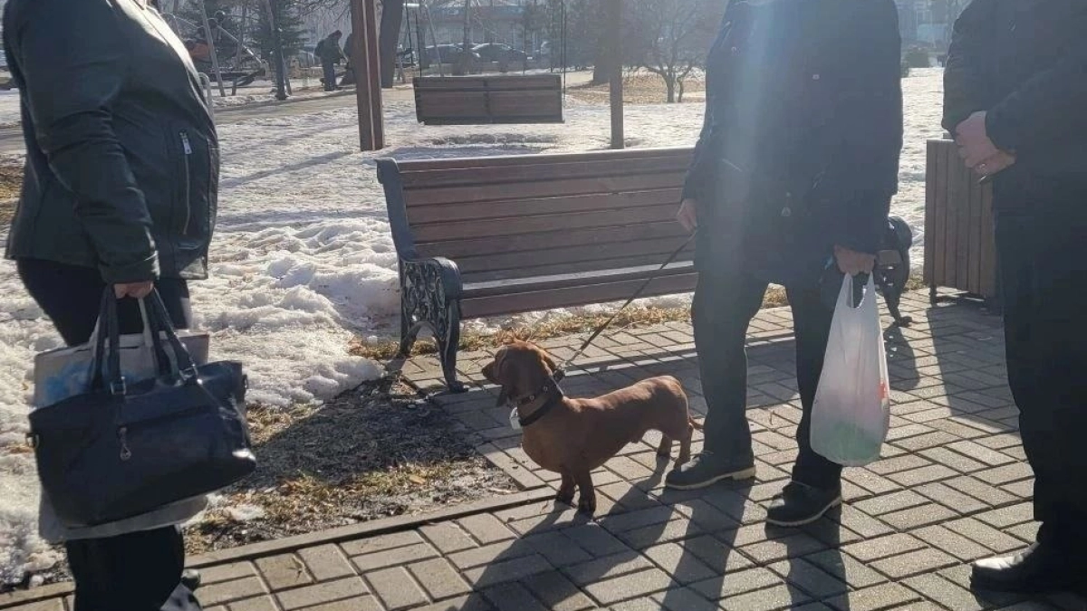 В Тамбове прошёл рейд по соблюдению правил выгула домашних животных