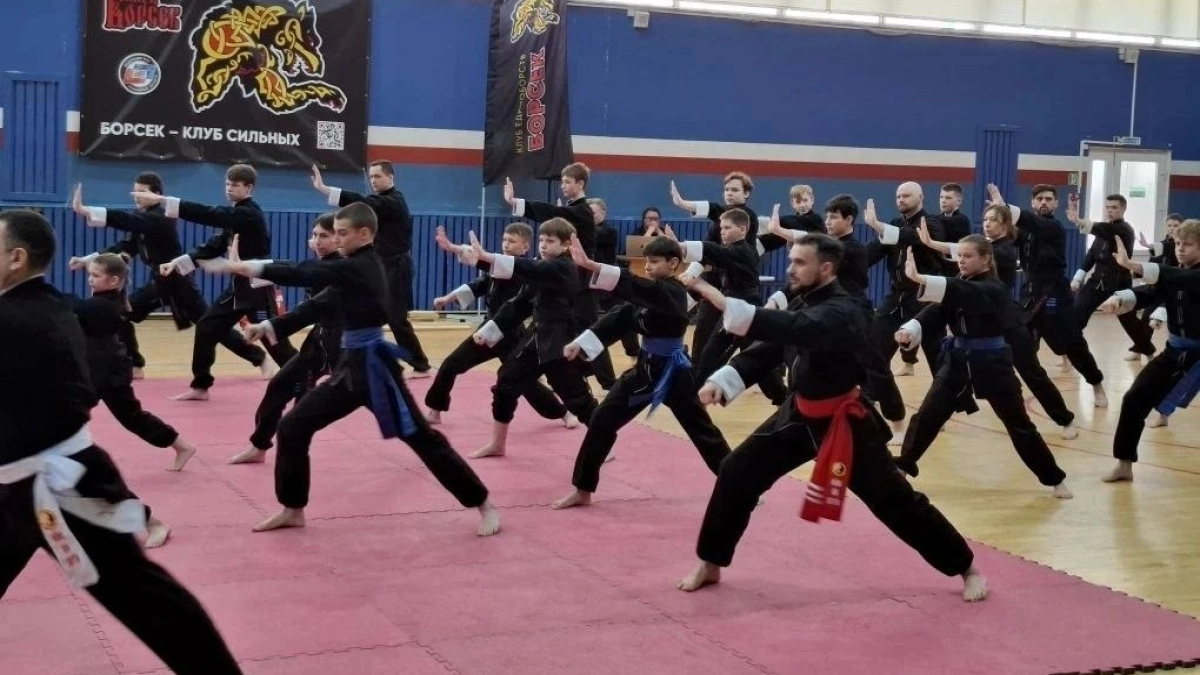 В Тамбове прошёл XXIII фестиваль боевых единоборств с участием ведущих клубов города
