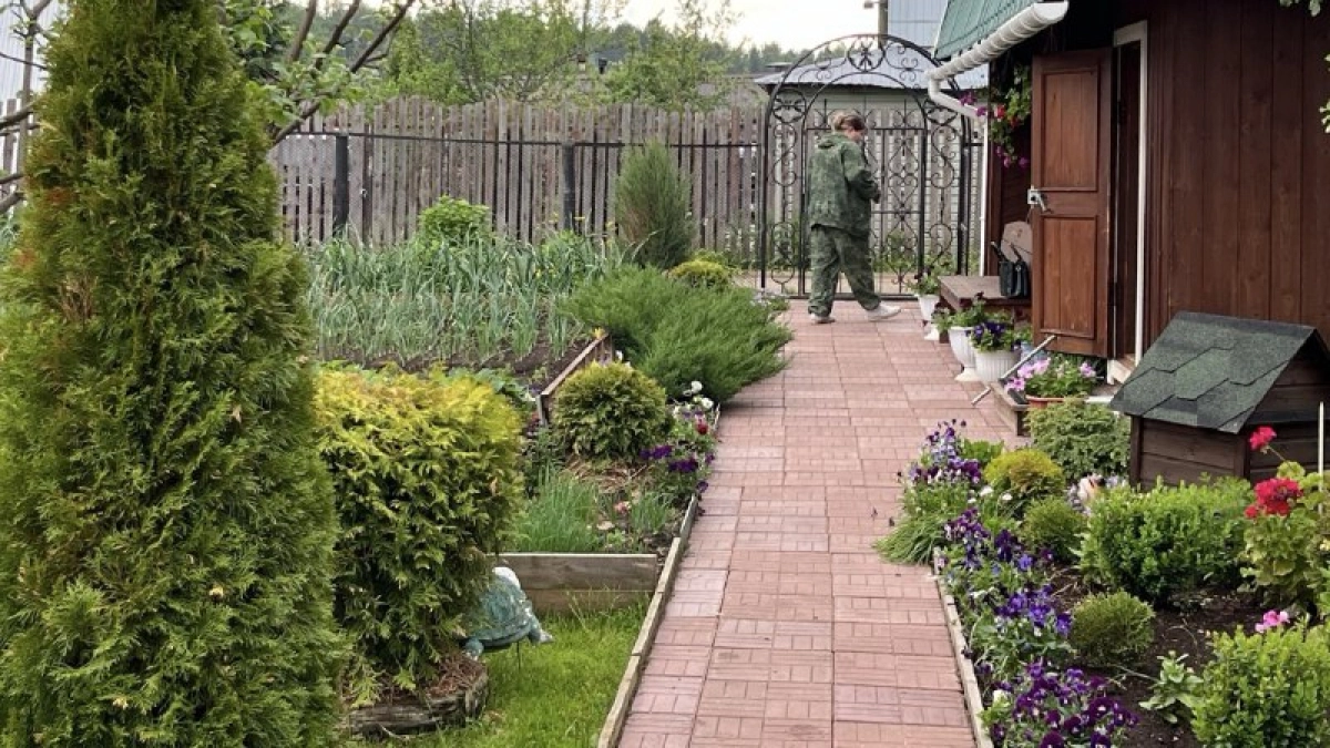 Асфальт и брусчатка больше не в тренде: теперь дорожки делают по-другому — своими руками, дешево, красиво и надежно