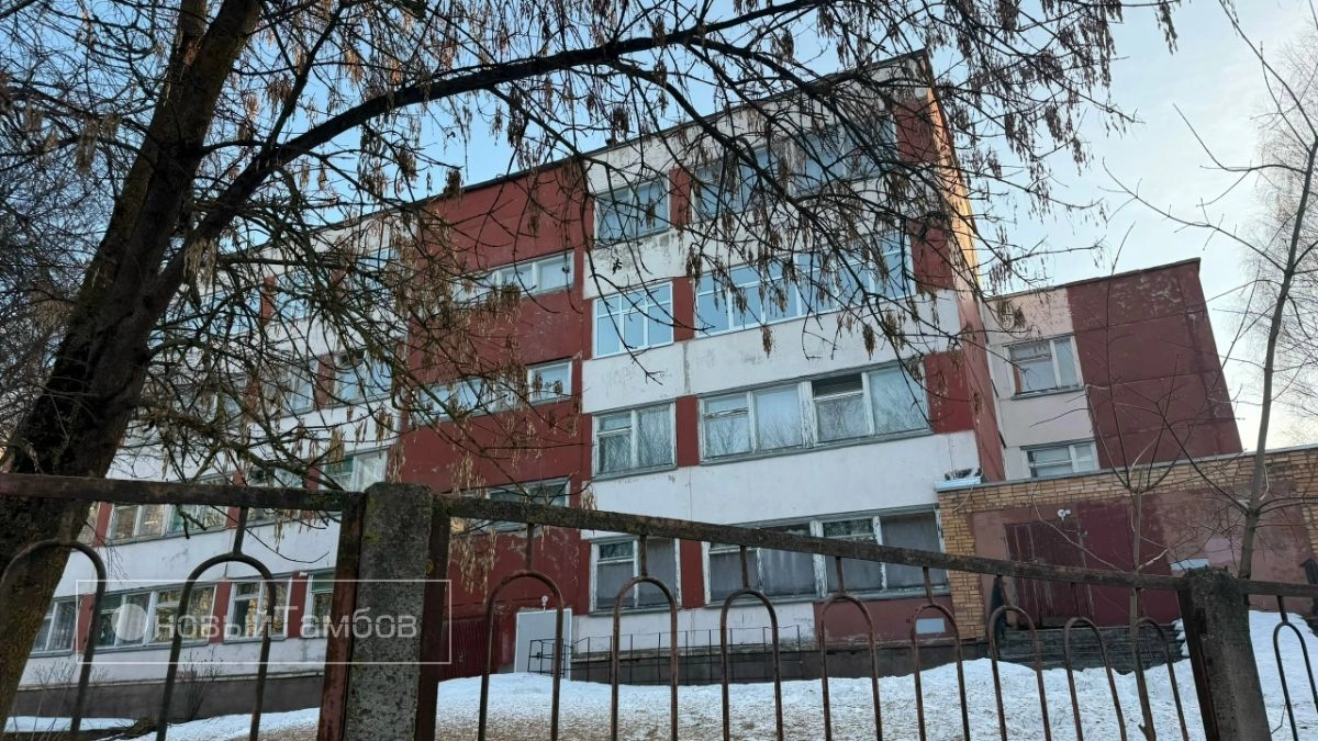 В Тамбове стартовала запись в первые классы