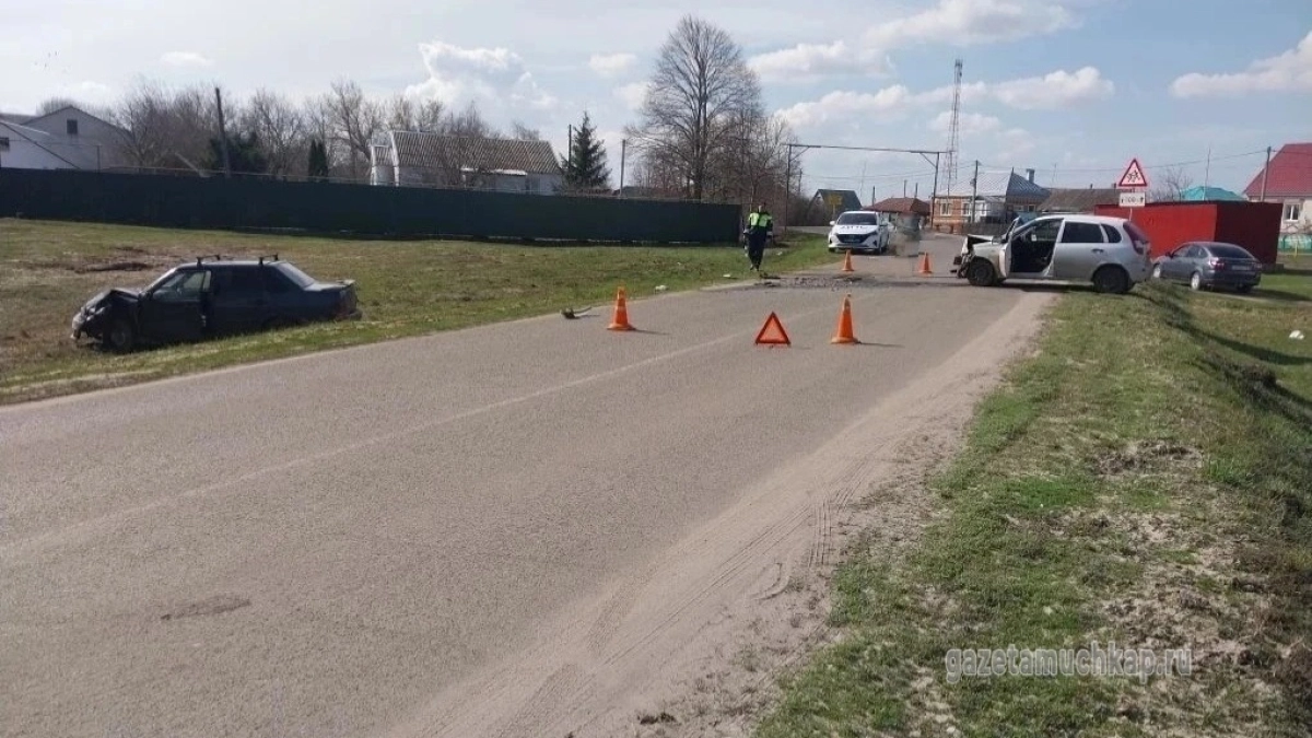 В Мучкапе две «Лады» не поделили дорогу