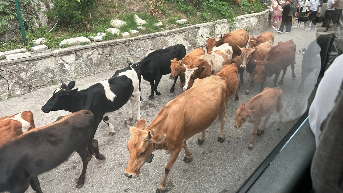 "Зачем я только это сделала?": экскурсия на абхазское застолье пошла не по плану - честный отзыв россиянки об отдыхе в Абхазии