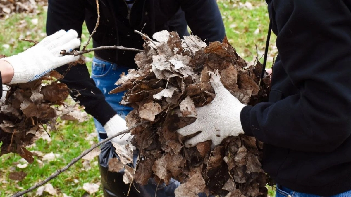 В Тамбове стартовал весенний месячник по благоустройству: к уборке подключилась молодёжь