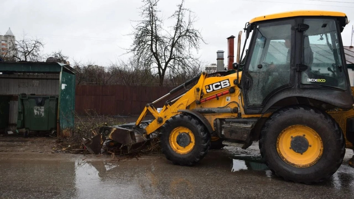 В Тамбове начался вывоз древесных отходов: утверждён график и названы правила для жителей