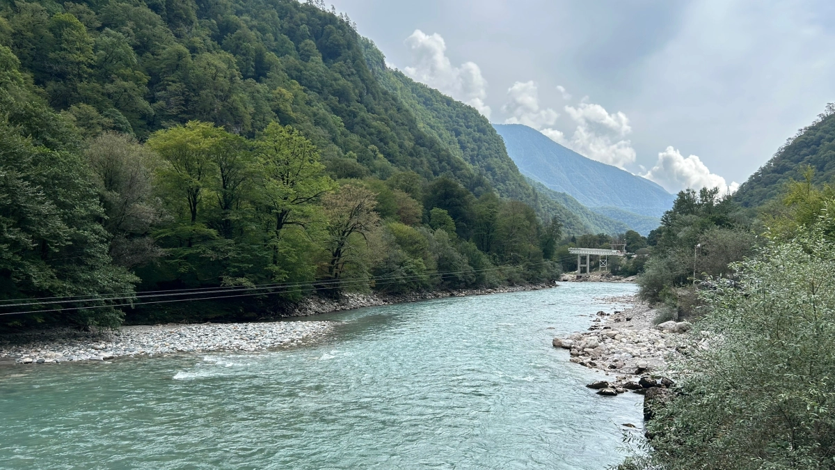 На наш Юг теперь ни ногой, нашла место лучше: вода теплая, не хамят и в 2 раза дешевле, чем в Абхазии