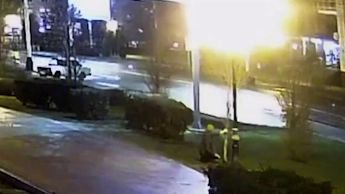 В Тамбове установили женщину, спилившую тополя на улице Интернациональной