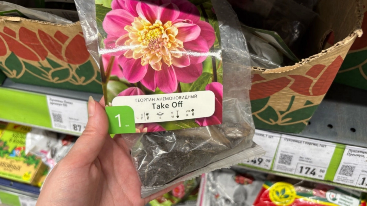 В Фикс Прайсе новый завоз - нашла кучу цветов для посадки: от гладиолусов до азиатских лилий. Показываю фото и цены