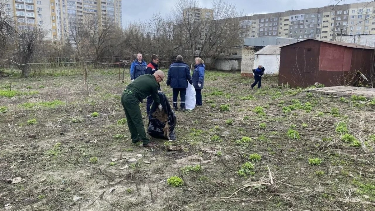 Около 650 человек вышли на первый в сезоне День ударного труда в Тамбове