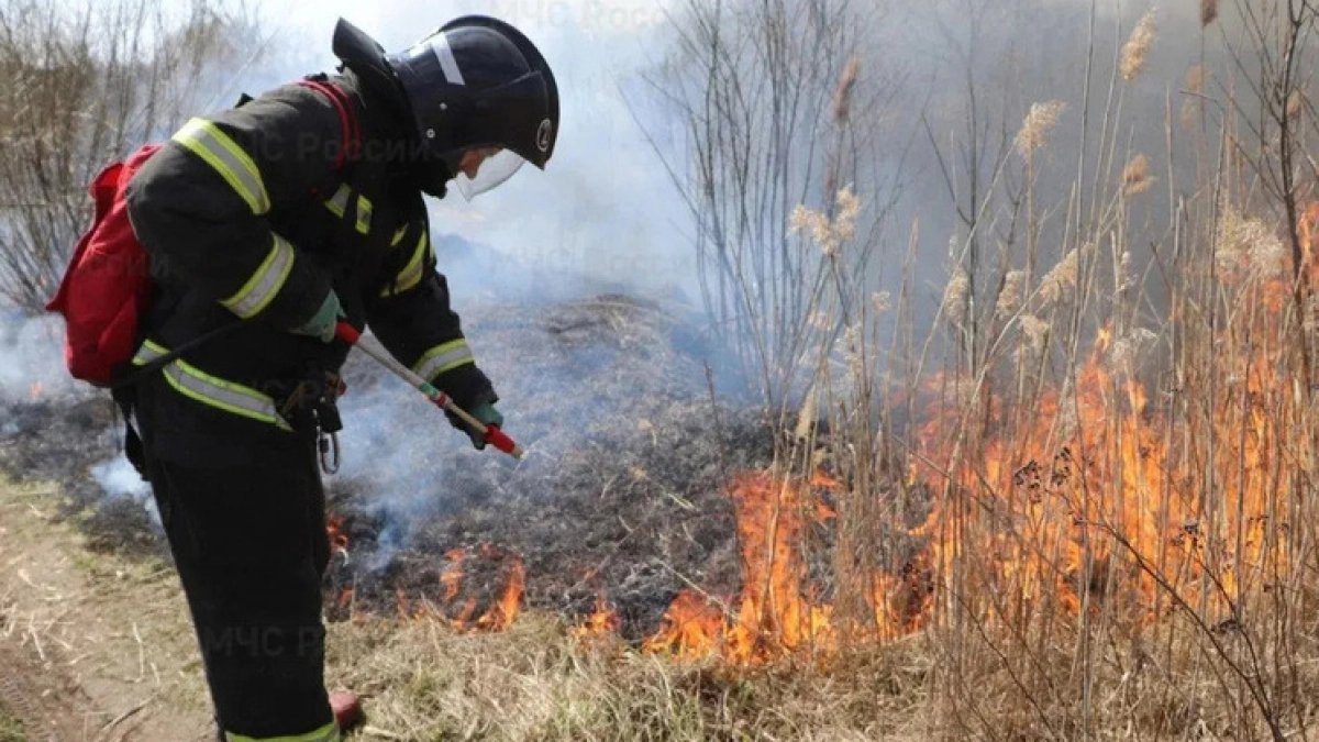 В Тамбовской области с 17 апреля ввели особый противопожарный режим