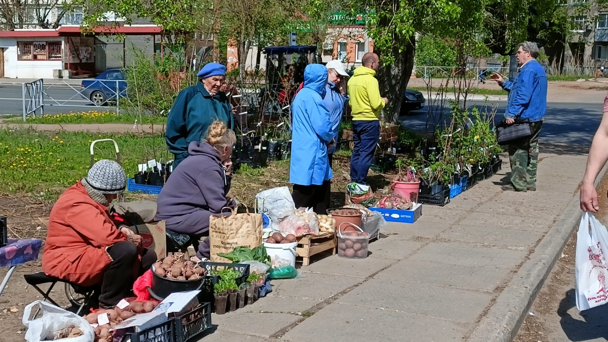 Почему могут остановить выплату пенсии и можно ли ее вернуть: что и как делать