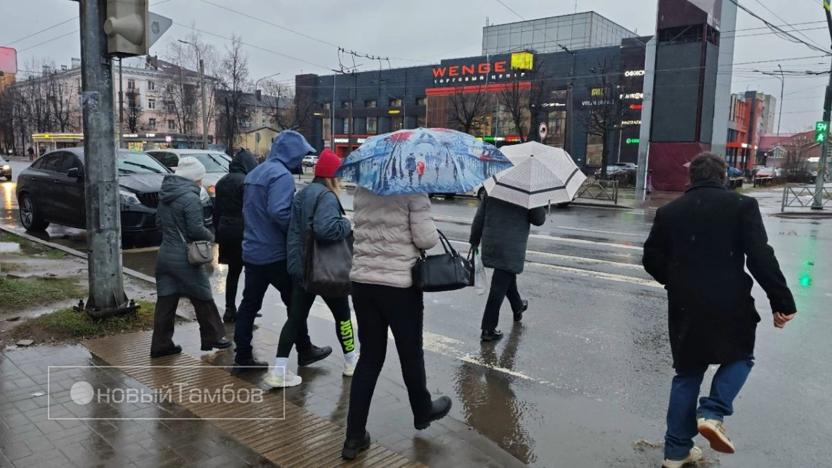 Тамбовчан ждут осадки и порывистый ветер: погода в Тамбове в воскресенье, 19 апреля