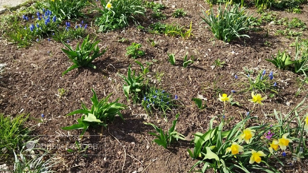 В городе Котовске 21 апреля, в день Радоницы, будут введены временные ограничения движения для транспортных средств