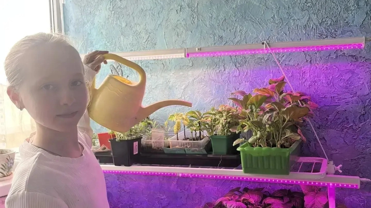 Школьники и родители в Тамбове вырастили около 250 цветов для акции "Росток в будущее"