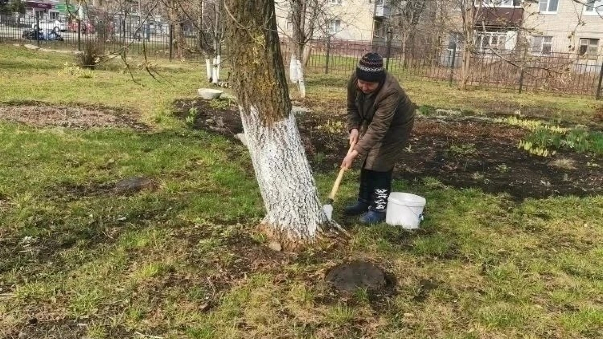 Школьники и родители привели в порядок 35 дворов в Тамбове в ходе весеннего месячника