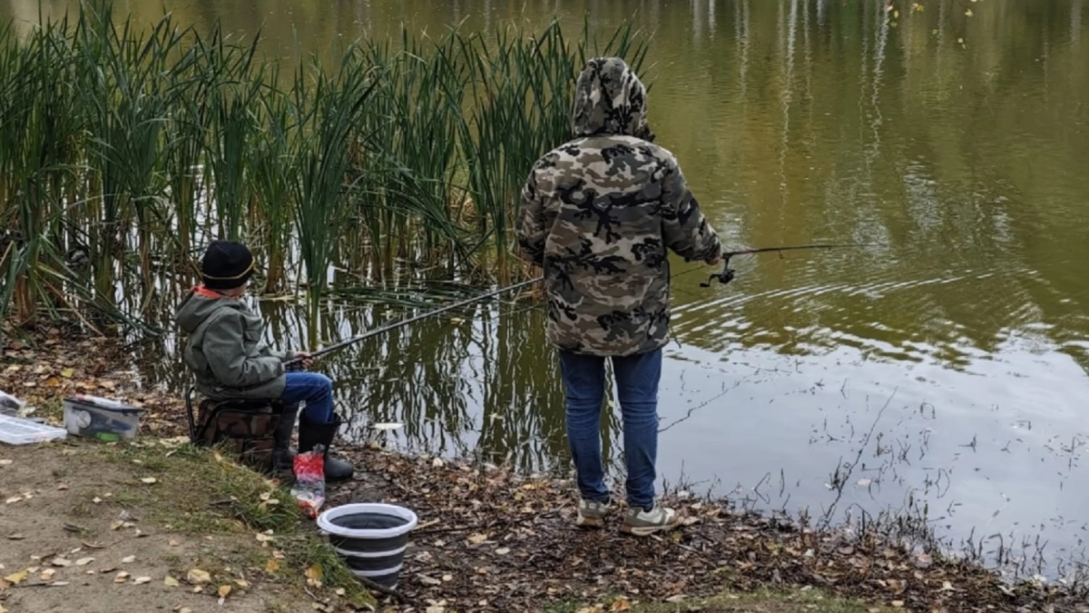 Спасение от комаров и мошек: народное средство из СССР, о котором большинство позабыло - а опытные рыбаки помнят