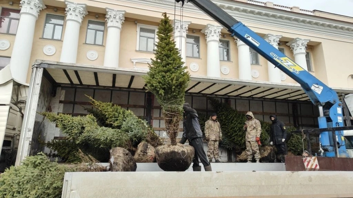 В Тамбове на улице Державинской высаживают новые ели и готовят к открытию памятник Державину