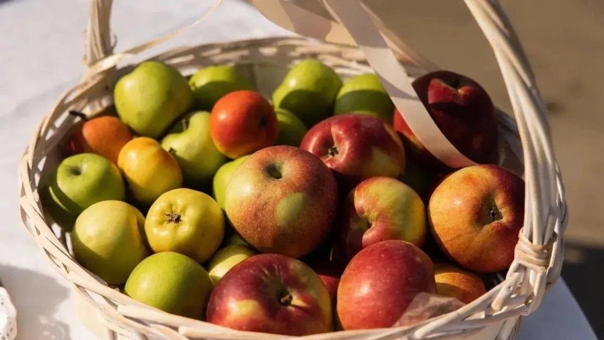 Тамбовская область поддержит шесть событийных фестивалей: на проекты направят 15 миллионов рублей