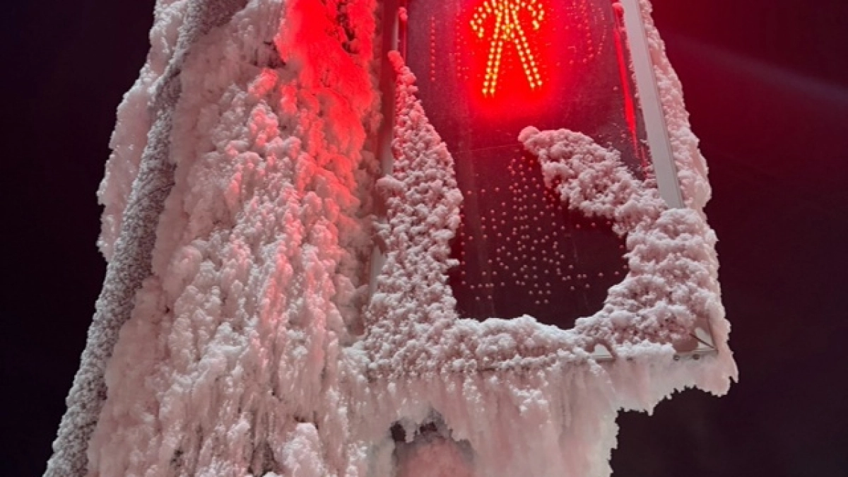 Снег летом таять не будет: климатолог рассчитал, в какой части России наступит новый ледниковый период