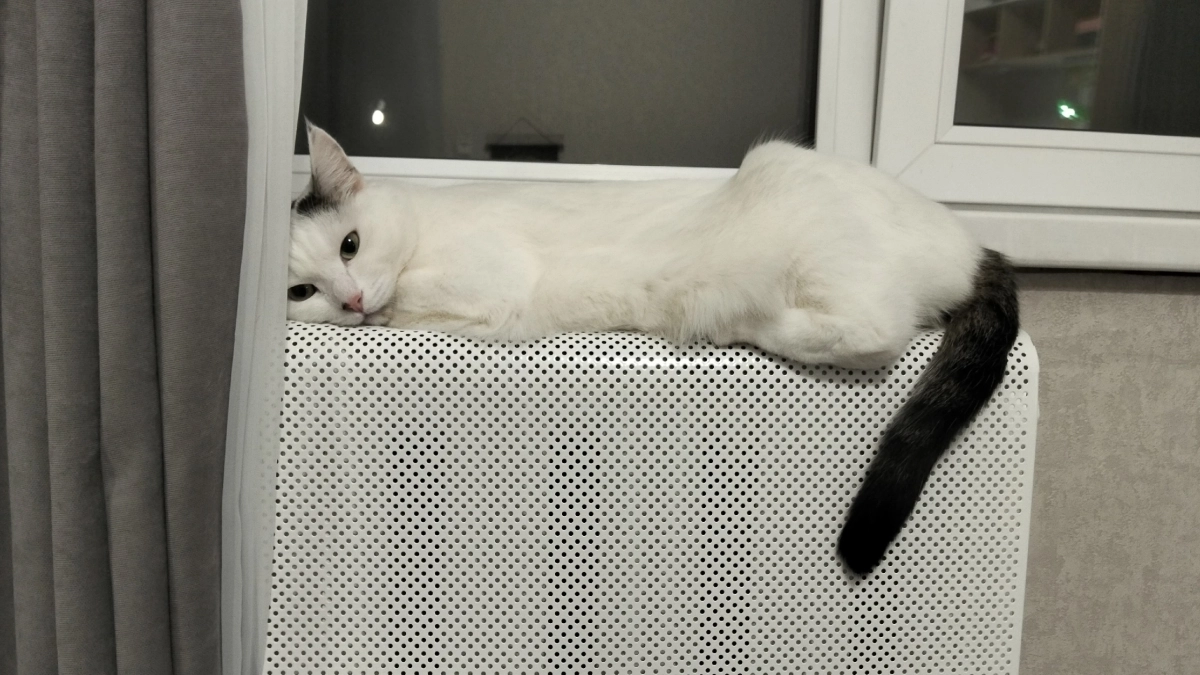 В России вводится новый ГОСТ на отопление в жилых домах: что это значит для жильцов