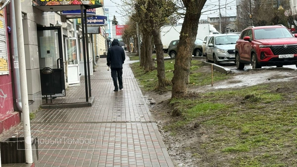 26 апреля в Тамбовском регионе прогнозируются осадки в виде дождя и усиление ветра