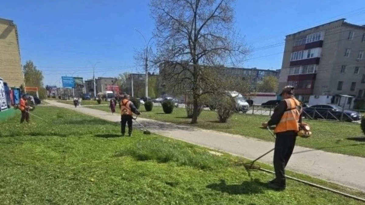 В Тамбове коммунальные службы вышли на покос травы