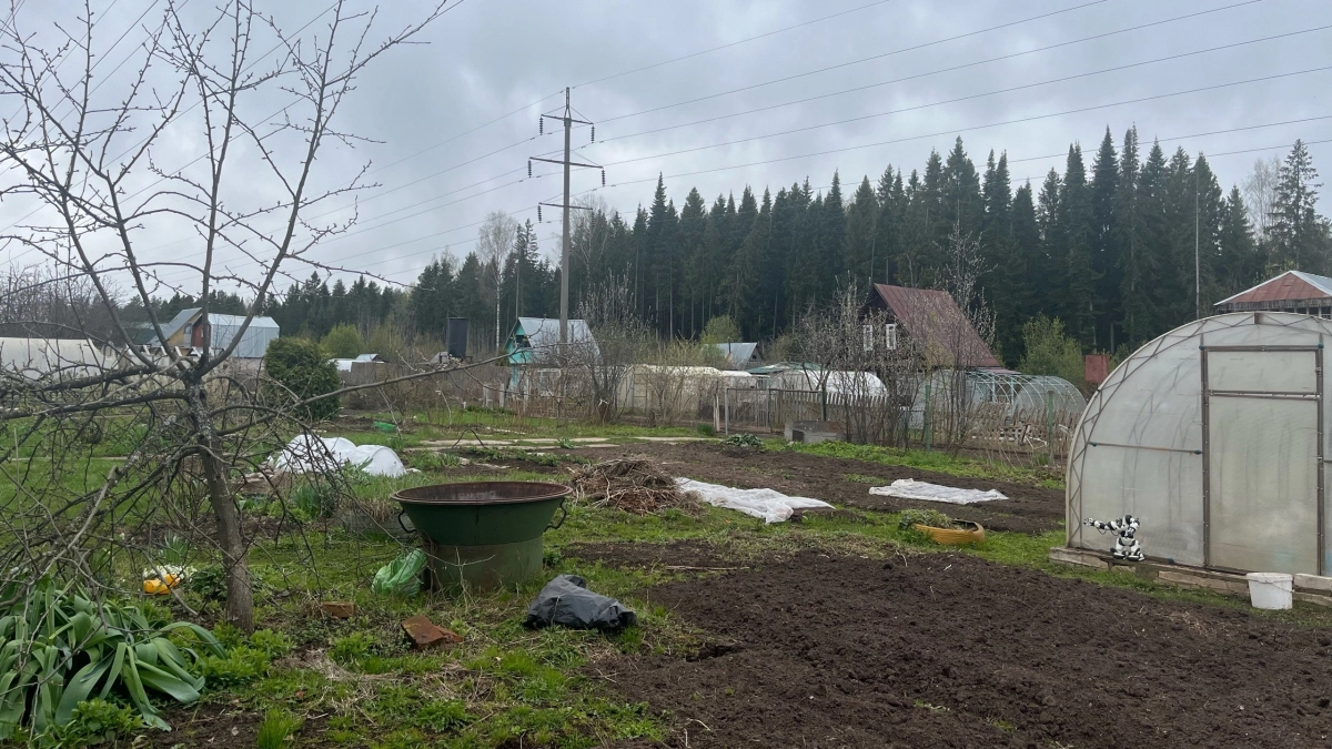 Садоводы, навоз - уже прошлый век: 4 новинки, которые дешевле, мощнее и без всякой вони
