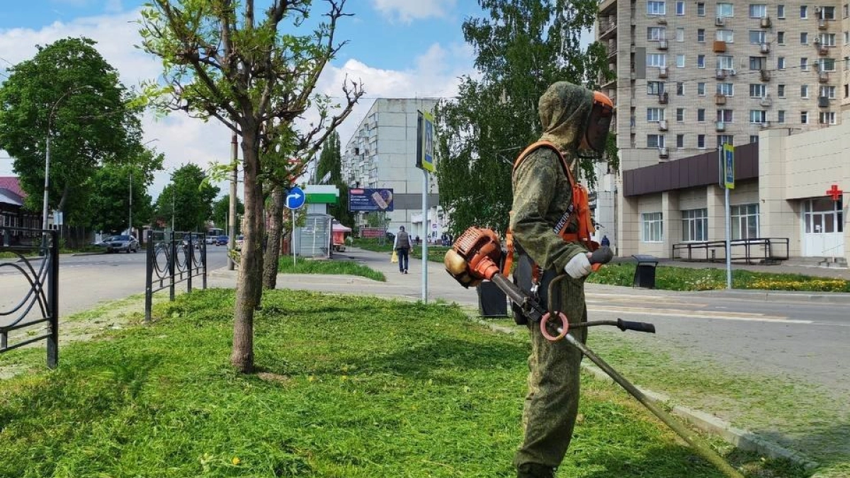 В Тамбове начали косить траву в самом начале мая