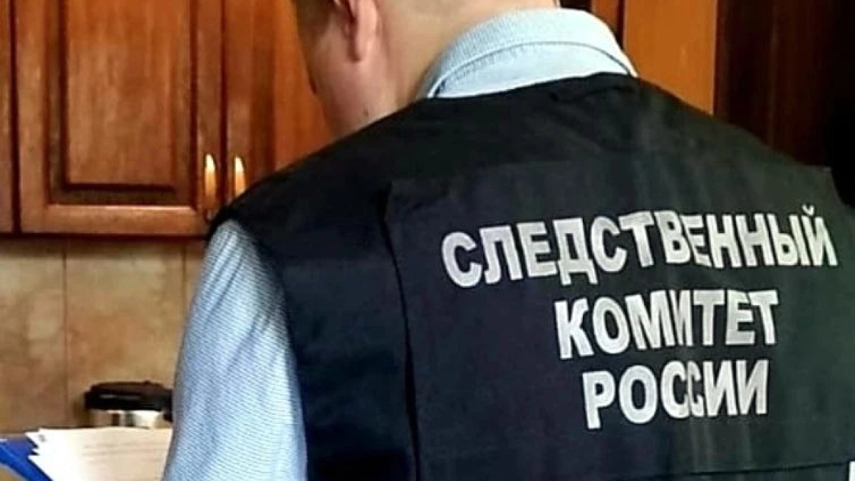 Жителя Никифоровского округа осудили на 7,5 года за смертельное избиение знакомого