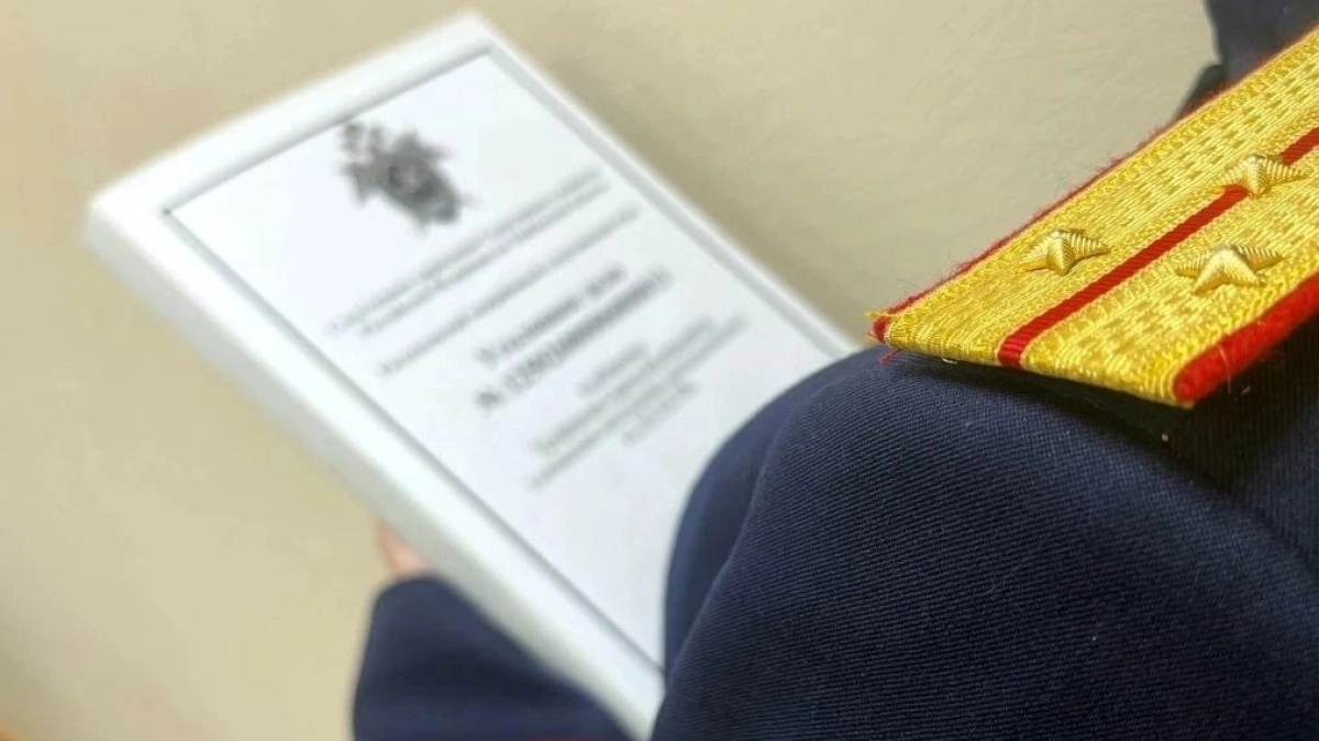 В Староюрьевском округе дело о смертельном ударе топором направят в суд