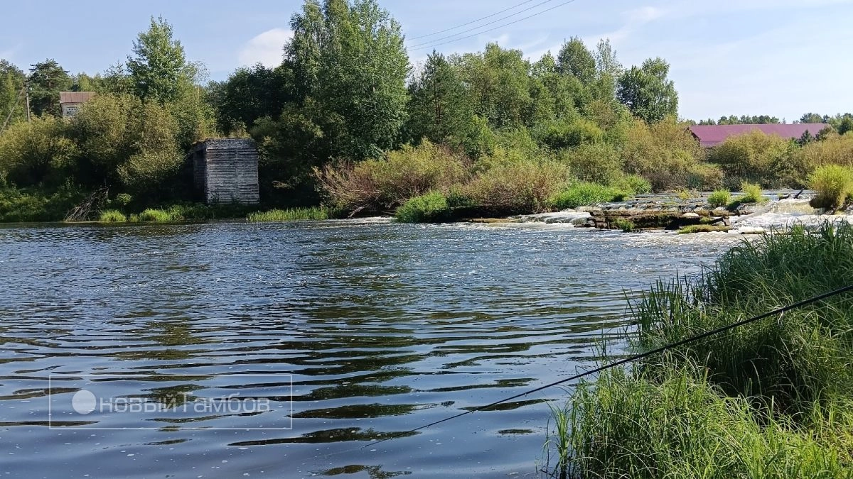 Река Паника — 46,5 млн, река Цна — 409 млн: кому тамбовский водоканал платит за загрязнение и кто ответит по уголовному делу