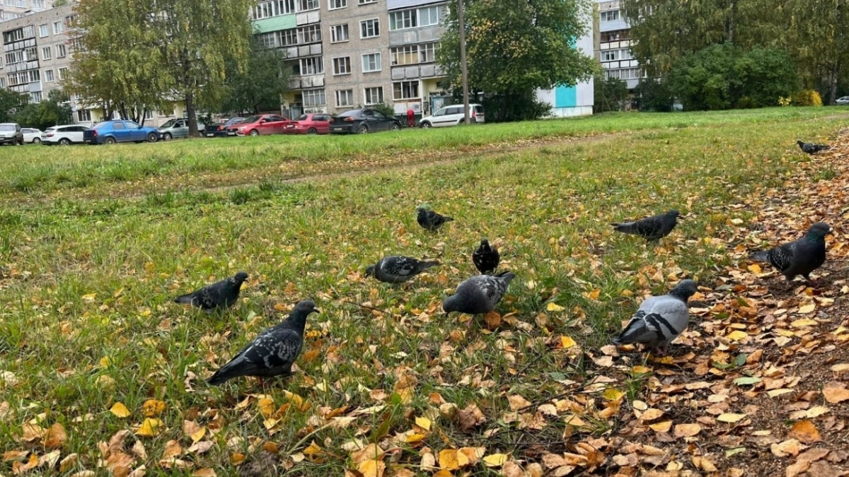 Грядет самая странная осень за весь 21 век: метеорологи выставили прогноз для россиян