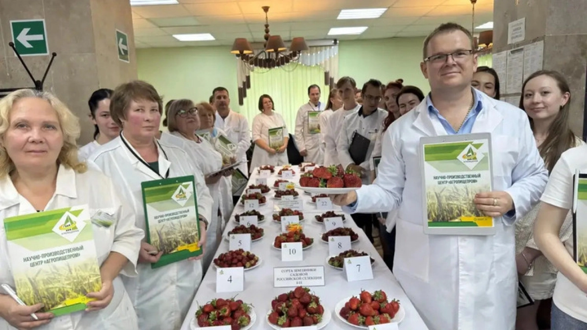 Мичуринские учёные вывели гибриды земляники с ягодами весом до 180 граммов